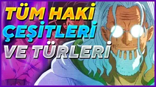 Tüm Haki Türleri ve Seviyeleri / One Piece