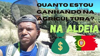 quanto estou ganhando na agricultura em Portugal? 🇵🇹#portugal #europa