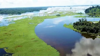 Peacock Bass fishing adventure at the most amazing part of the Brokopondo lake - Suriname