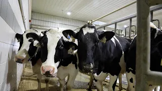STATE Day: Tour of the Iowa State Dairy Farm