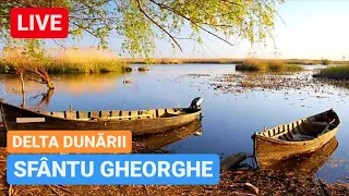 🔴 LIVE din SFÂNTU GHEORGHE - DELTA DUNĂRII