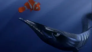 Finding Nemo Baracuda Scene