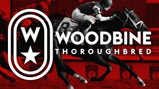 Woodbine, Tbred, May 4, 2024 Race 6 | Woodbine Horse Race Replay