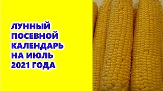 Лунный посевной календарь на июль 2021 года.  Агрогороскоп посевов в июле 2021