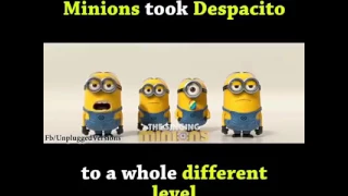 Minions took despecito song || must watch