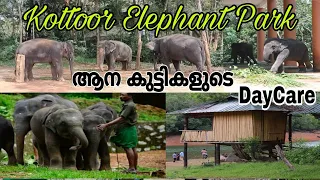 Elephant Rehabilitation Centre@Kottoor, Trivandrum @SGzJourney6868