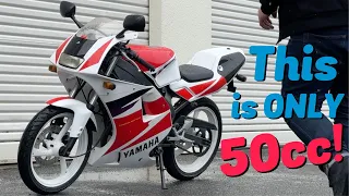 Yamaha TZR50; 6 Speed, 50cc, 2 Stroke | RTW #024 🇳🇿