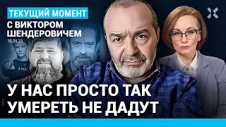 ШЕНДЕРОВИЧ: Смерть Кадырова — это очень серьезное изменение пейзажа. Северная Корея. Машков. Shaman