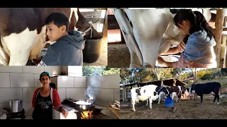 2 garotos, Levantam 5 da madrugada, tira o leite a vão colher café  a tarde estudam