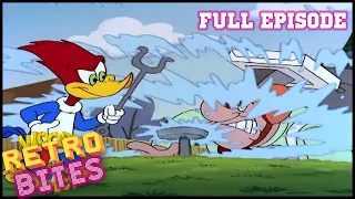 Difficult Delivery | Woody Woodpecker | Full Episodes