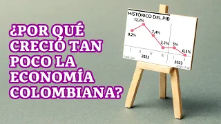 ¿Por qué creció tan poco la economía colombiana?