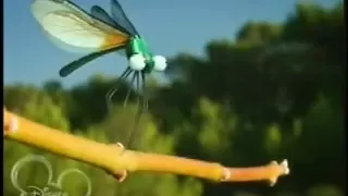 Miniscule Insect High Velocity