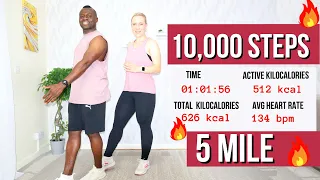 Fat Burning Indoor Walking Workout ( 10,000 steps in 1 hour ) 5 Mile Walk at Home