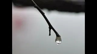 是雨是淚  周浩版