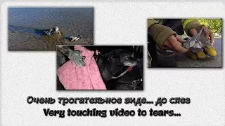 Очень трогательное видео... до слез. Very touching video to tears...