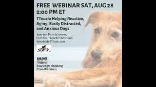 TTouch: Helping Reactive, Aging, Easily Distracted & Anxious Dogs 8-28-21