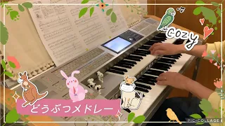 どうぶつメドレー 山の音楽家 ぞうさん~かえるの合唱 エレクトーン