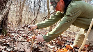 Would you metal detect and dig a place deserted 100 years ago?