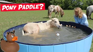 I bought my ponies a PADDLING POOL!