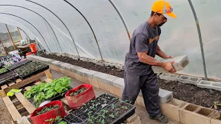 ONE DAY greenhouse RAISED BED GARDEN BUILD