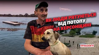 «Не можу покинути собаку». Жителі Херсону евакуюються до Миколаєва через підрив Каховської ГЕС