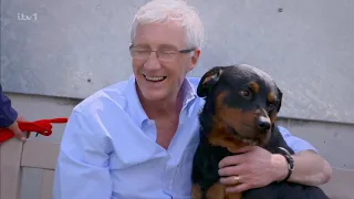 Paul O Grady For the Love of Dogs S11E03