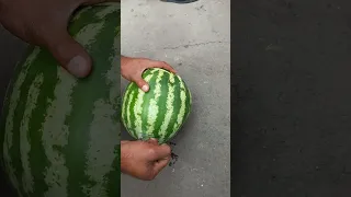 просто бомба машаАллох арбуз 🍉 🍉 🍉казак-город туркистан [суннатиский арбуз 🍉]