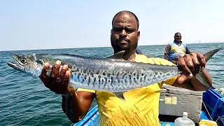 Catching Rainbow Runner, King Fish & Blacktip Trevally in the Sea
