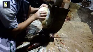 Mirror Carp Fish Cutting Skills and Amazing Fish Cutting Skills - Mirror Carp Fish Cutting Video.