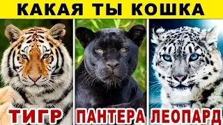 Тест! КАКАЯ ТЫ КОШКА? Какой ты Хищник из Семейства Кошачьих? Невероятный тест на ХАРАКТЕР. Точность