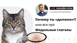 Почему ты "должен"!? или все про Модальные глаголы в Английском Языке