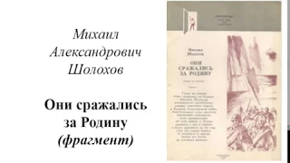 Михаил Александрович Шолохов "Они сражались за Родину"