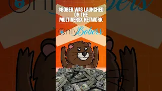 $BOBER 🦫 MultiversX's first Memecoin! 🚀🔥#multiversx #memecoin #egld  #cryptocurrency