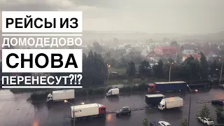 Домодедово ОНЛАЙН: все сносит вокруг из-за ливня и сильного ветра 18.08.2021