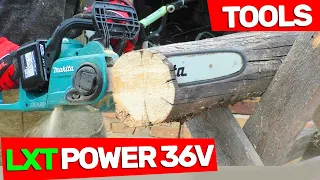 Где Логика? Аккумуляторная Пила STIHL и Тест Бесщеточной Пилы MAKITA DUC 353 LXT