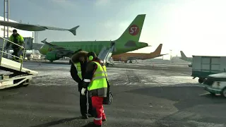 Наземное обслуживание (Ground Handling) ВС А-319 авиакомпании S7 Airlines в аэропорту Домодедово