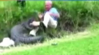 Man Describes Frightening Alligator Attack That Was Caught On Tape