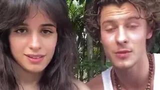 Camila Cabello and Shawn Mendes | Instagram Live Concert