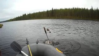 Щука утащила спиннинг из лодки. Случай на рыбалке.