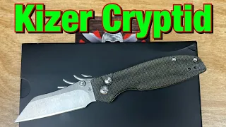 Kizer Cryptid button lock reverse tanto blade !