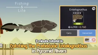 Fishing and Life | Catching Entelognathus in Pyramid and Rivers | 3-minute Tutorial