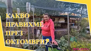 Живот на село: влог с Кали, Ива и приятели + културни събития в София