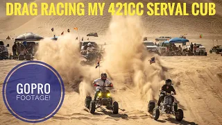 Drag Racing my 421 Serval Cub Banshee! | Dumont Dunes President’s Weekend