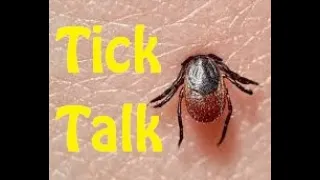 Tick Talk,  A Comprehensive Guide to Preventing and Responding to Tick Bites