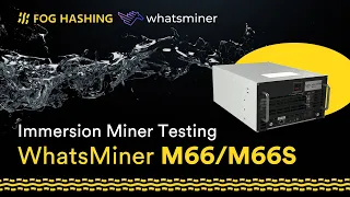 Whatsminer M66/M56 Testing with Fog Hashing M20, How does original immersion cooling miners operate?