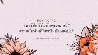 Pick a Card : เขารู้สึกกับคุณยังไง? ความสัมพันธ์นี้จะเป็นอย่างไรต่อไป? ♦️ Timeless