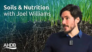 Soils and Nutrition with Joel Williams | AHDB