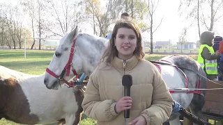 2019-11-05 г. Брест. Акция ГАИ «Сохрани себе жизнь». Новости на Буг-ТВ. #бугтв