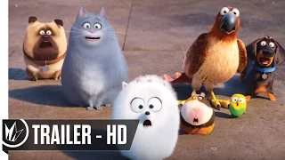 Ever Wonder What Your Pets Do When You Leave? The Secret Life of Pets Trailer #4