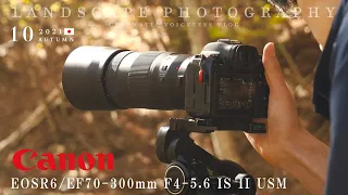 【EOSR6・EF70-300mm f4-5.6 IS II USM】秋の写真 | Autumn Photography | 4K
